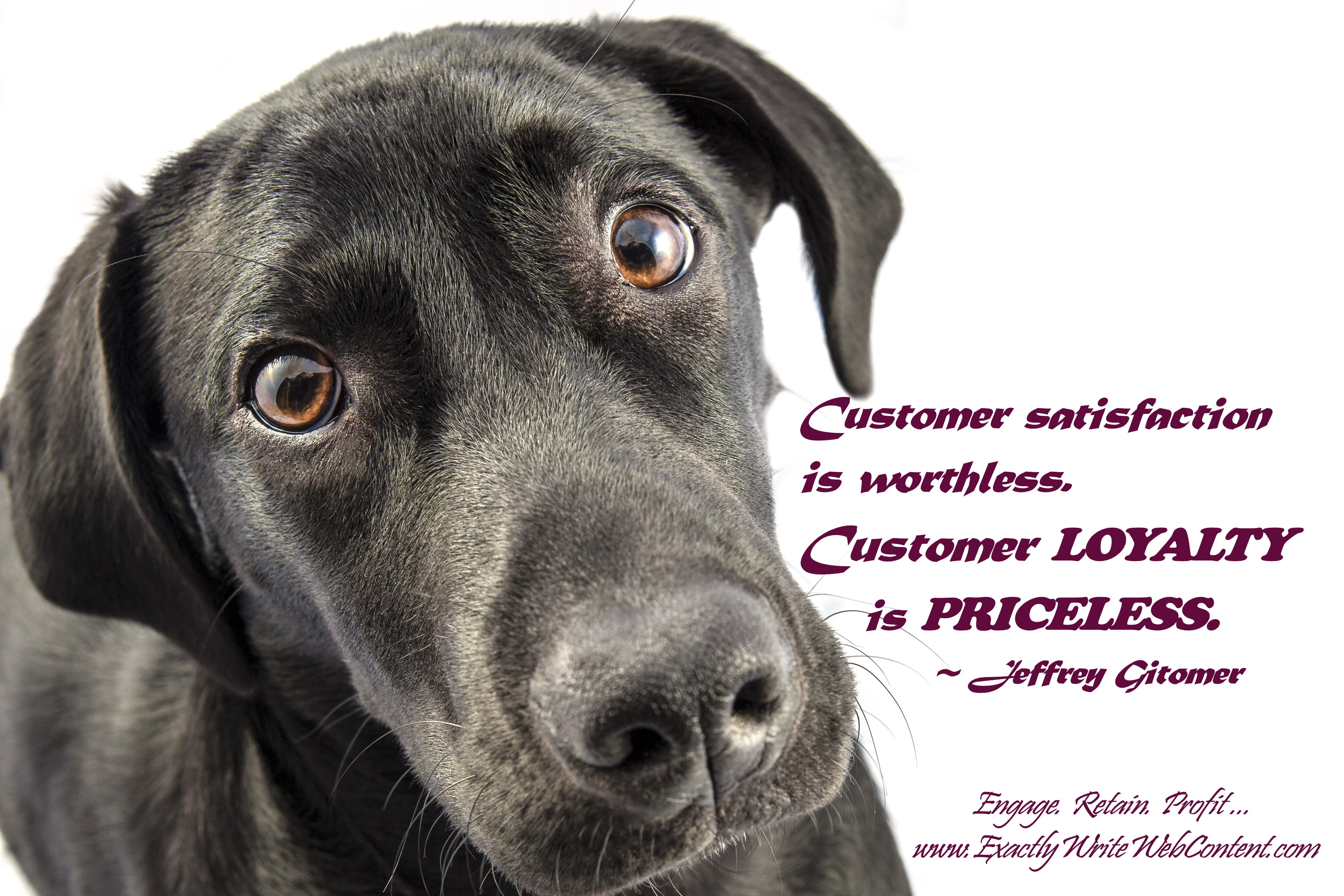 Customer Loyalty is Priceless