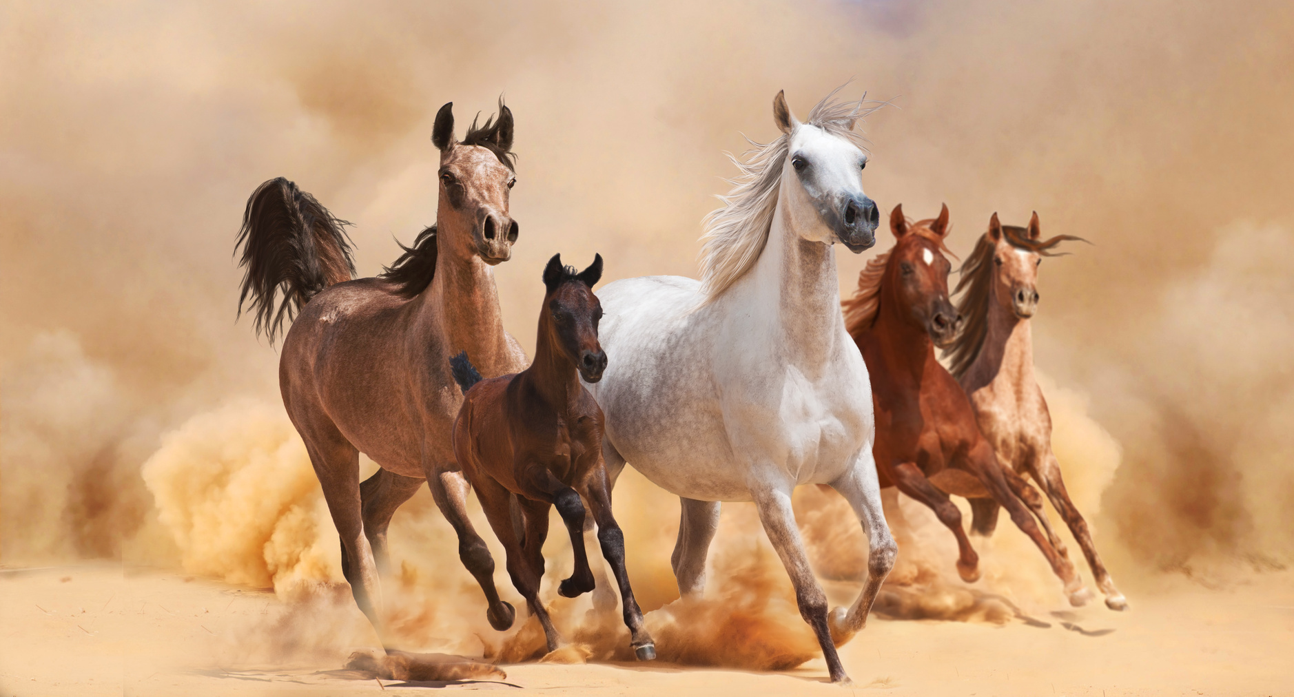 Don’t Give Them Faster Horses … Give Them RESULTS!