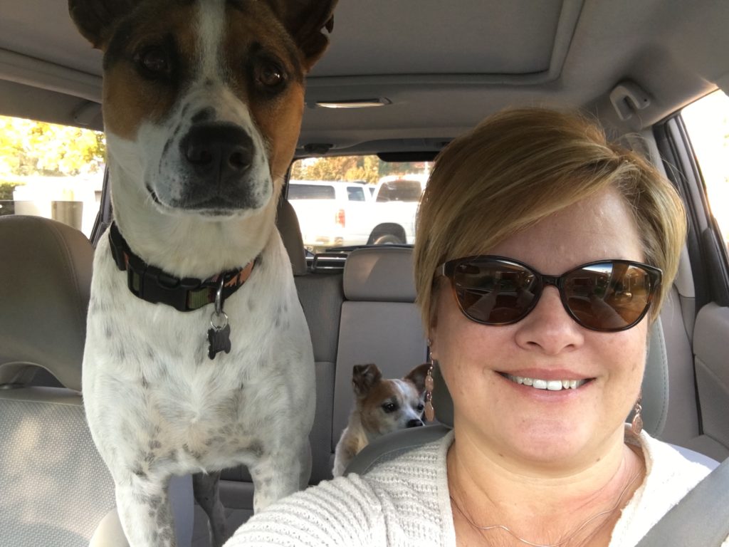 Michele Peterson in the car with the dogs